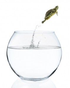 iStock_000008090450Small