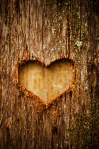 iStock_000018001119XSmall