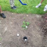 Mini-Golf Hole In Garden